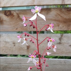 Meet your Posher, April